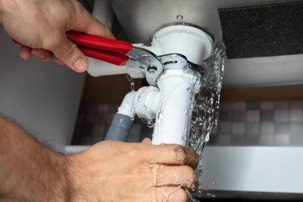 Best Flood damage cleanup  in Shady Spring, WV