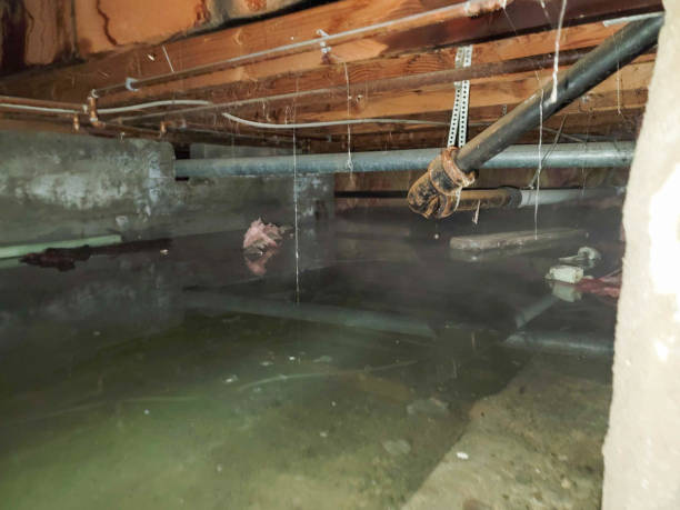 Water damage restoration mold remediation in WV