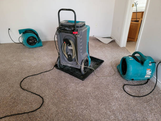 Best Ceiling water damage repair  in Shady Spring, WV