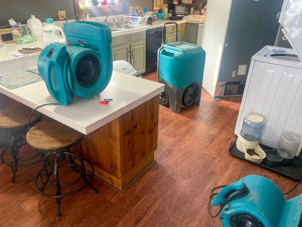 Best Professional water damage repair  in Shady Spring, WV