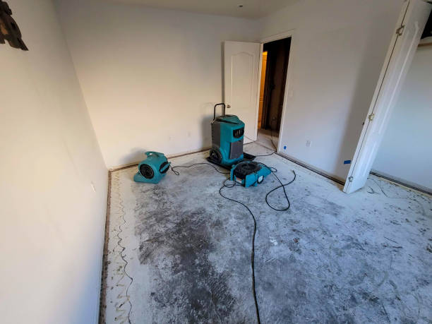 Best 24-hour water damage restoration  in Shady Spring, WV