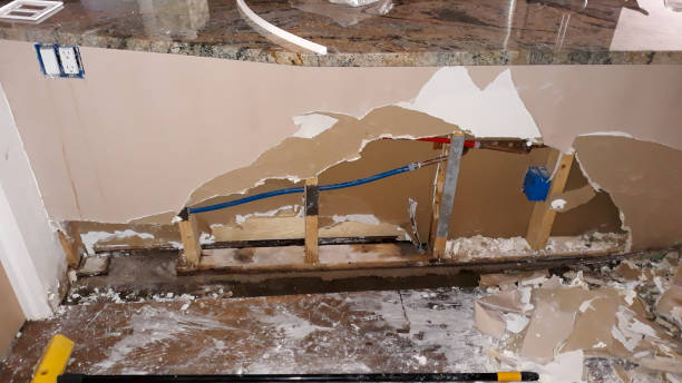 Best Flood damage cleanup  in Shady Spring, WV