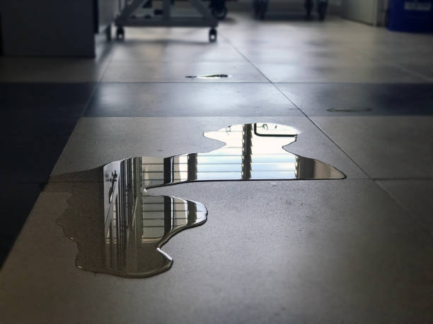 Best 24/7 water damage repair  in Shady Spring, WV