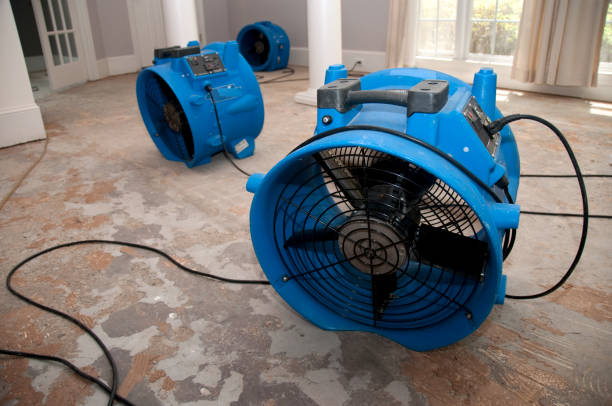 Best Professional water damage repair  in Shady Spring, WV